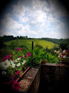 A garden outside Charming House in Trequanda with Shared Pool