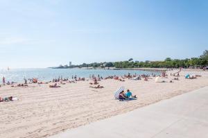 En strand vid eller i närheten av lägenheten