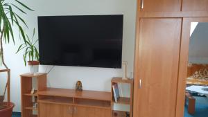 TV a/nebo společenská místnost v ubytování Veszprém Room