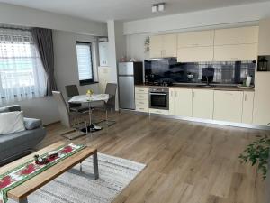 特爾古穆列什的住宿－cosy apartment II，带沙发和桌子的客厅以及厨房。