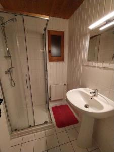 uma casa de banho com um lavatório e um chuveiro em Appartement Daria em Prémanon