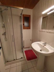 a bathroom with a sink and a shower at Appartement Daria in Prémanon