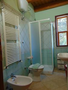 y baño con aseo, ducha y lavamanos. en La Contea en SantʼAnna Arresi