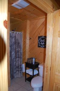 a bathroom with a toilet in a log cabin at His Promises Cabin in Pigeon Forge