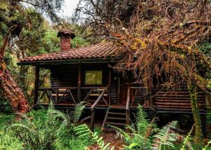 Zahrada ubytování Polylepis Lodge