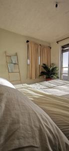 1 dormitorio con 2 camas y una ventana con una planta en Sudeste Hostel, en Pichilemu