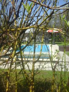 a swimming pool with a red frisbee in a tree at Appartment Andrea in Eugendorf