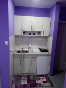 Kuchyň nebo kuchyňský kout v ubytování Apartmani SAN