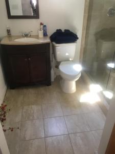 een badkamer met een toilet, een wastafel en een douche bij Cozy Mother-in-Law Suite in Norfolk