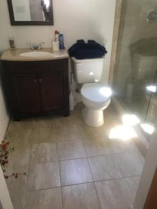 a bathroom with a toilet and a sink and a shower at Cozy Mother-in-Law Suite in Norfolk