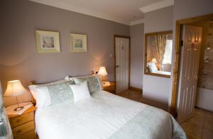 Fotografie z fotogalerie ubytování Almanii v destinaci Dublin