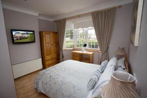 1 dormitorio con cama, ventana y TV en Almanii en Dublín