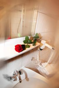 Kúpeľňa v ubytovaní Appartement Gästehaus Aloisia