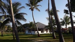 a group of palm trees in front of a house at Pousada Eureka in Atins