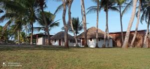 a house with palm trees in front of it at Pousada Eureka in Atins