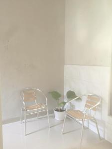 two chairs and a potted plant in a room at Abimanyu Notoprajan in Ngabean