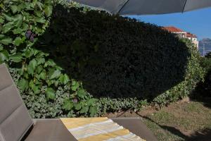 Zahrada ubytování Mare appart avec jardin et bbq vue mer et montagne plage et port à 2 pas