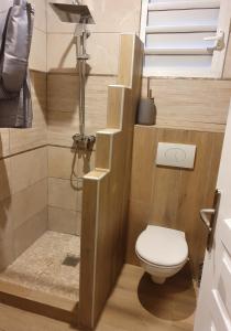 un piccolo bagno con wc e doccia di La Perle piscine et plage petite VUE MER a Sainte-Luce