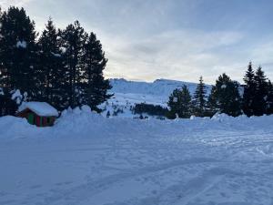 Gallery image of Appartamento Alpe di Siusi in Alpe di Siusi