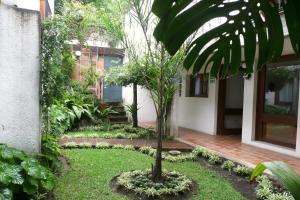 a small palm tree in a yard next to a house at La Mariquinta - Residencias in Xalapa