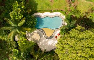 an aerial view of a swimming pool in a park at La Ponderosa in Pavones