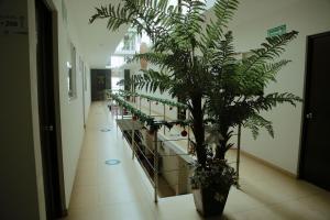Fotografie z fotogalerie ubytování Hotel Boutique Boca - Veracruz v destinaci Boca del Río