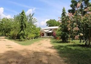 a dirt road in front of a house with trees at Lavish Eco Jungle in Tissamaharama
