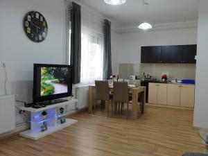 TV a/nebo společenská místnost v ubytování Apartments Mateo
