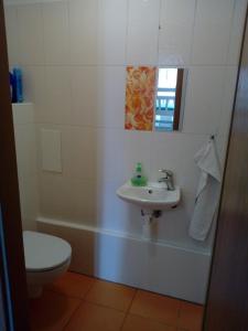 Koupelna v ubytování Apartman29