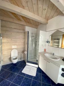 a bathroom with a toilet and a shower and a sink at AlpenApartment in Bramberg am Wildkogel