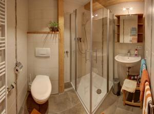 La salle de bains est pourvue d'une douche, de toilettes et d'un lavabo. dans l'établissement Beim Bretzner - Chiemgau Karte, à Inzell