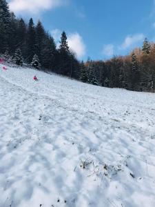 Apartamenty Kadłubek talvel