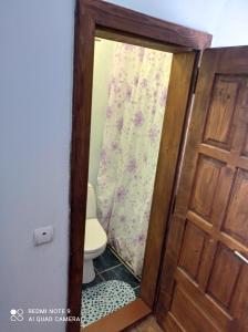 a bathroom with a toilet and a wooden door at Садиба Брусний in Mykulychyn +16 photos