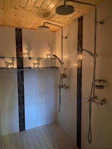 baño con ducha y puerta de cristal en Levi Log Cabin - Viprakka 4A en Levi