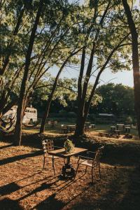 une table de pique-nique et des chaises dans un parc arboré dans l'établissement Cabañas en el Bosque a 5 minutos del mar - Estancia CH, à Punta del Este