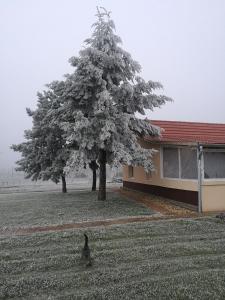 Birs Vendégház v zime