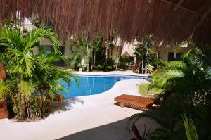 una piscina en un complejo con bancos y palmeras en Stay in Tulum!, en Tulum