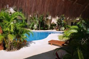 Басейн в или близо до Stay in Tulum!