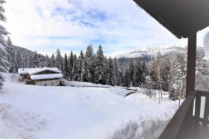 une montagne enneigée avec des arbres et une cabine dans l'établissement Dream House Quadrifoglio. Sulle piste di Folgarida,madonna di campiglio., à Folgarida