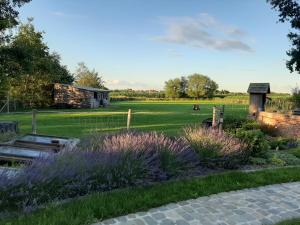Zahrada ubytování B & B Victors Hof, met zwemvijver in landelijke setting + 27 fotografií