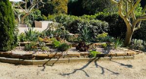 un jardin avec de nombreuses plantes dans une cour dans l'établissement Le Hameau de la Nicolinière, à Bormes-les-Mimosas