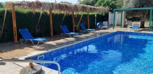 - une piscine avec des chaises bleues dans l'établissement Amalia Apartments, à Pólis Chrysochoús