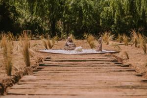 Ảnh trong thư viện ảnh của Hotel Vívelo Elqui Landscape ở Horcon