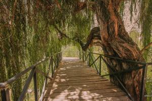 Ảnh trong thư viện ảnh của Hotel Vívelo Elqui Landscape ở Horcon