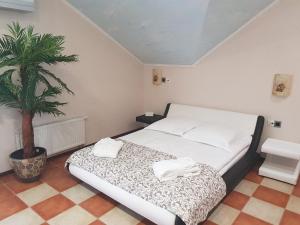 a bedroom with a bed and a palm tree at Apartments Exclusive in Zelenogradsk