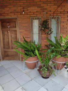 a group of potted plants in front of a brick wall at casa lucy in Puerto Iguazú