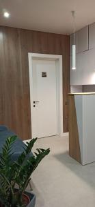 una cocina con una puerta blanca y una maceta en Citylife Boutique Hotel en Járkov