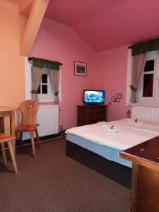 TV a/nebo společenská místnost v ubytování Hotel Diana