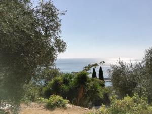 Φυσικό τοπίο κοντά σε αυτό το διαμέρισμα