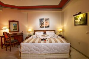 1 dormitorio con 1 cama y escritorio con silla en Hotel Rodovoli, en Konitsa